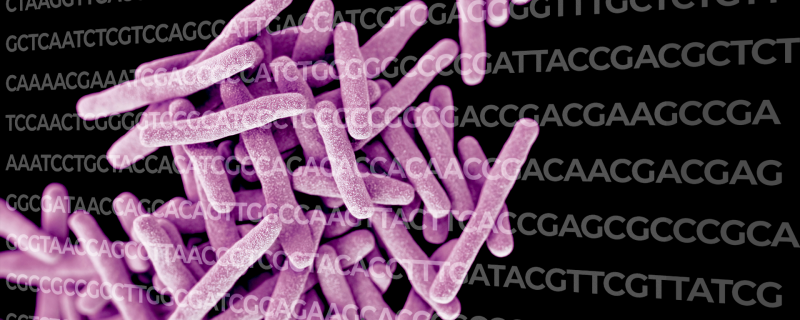 Sudden jumps punctuate gradual changes in bacterial gene sequences