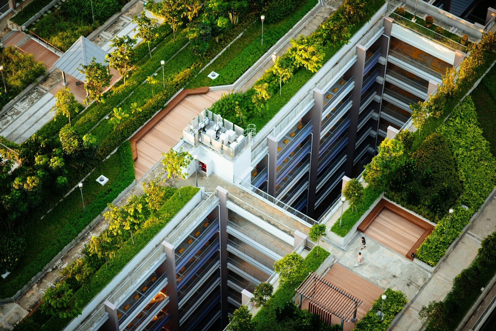 Representative image of Green roofs.