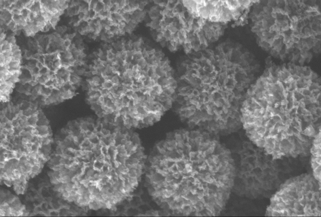 Nano Hard-carbon Florets