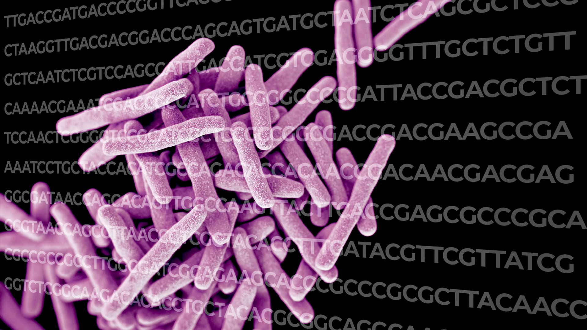 Sudden jumps punctuate gradual changes in bacterial gene sequences