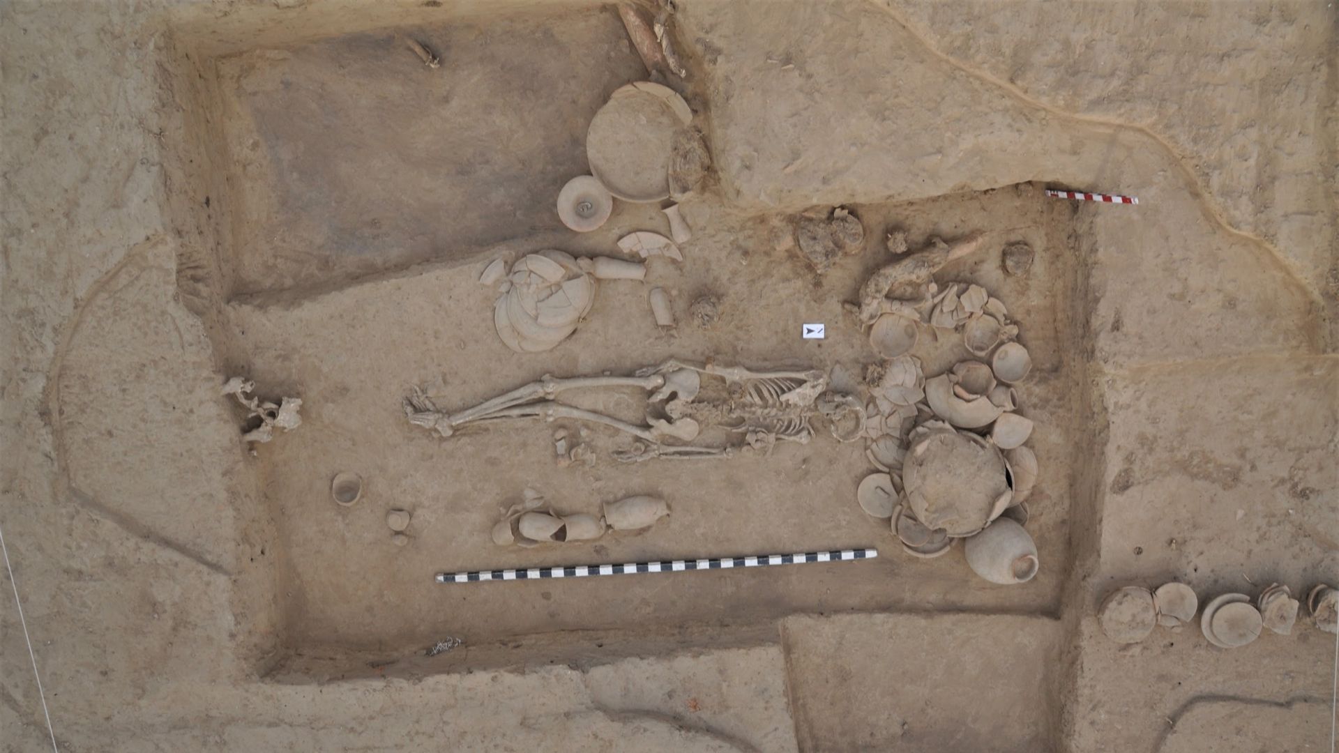 Why do North Indians Look Different from South Indians? The Genetics of  South Asia 