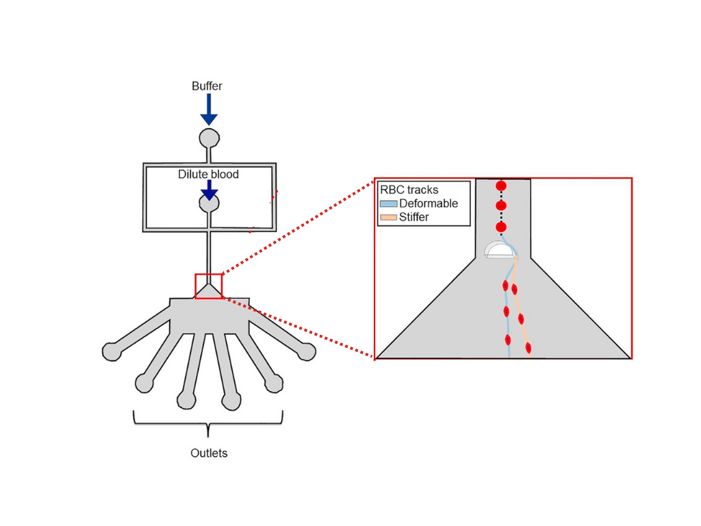 Schematic of device