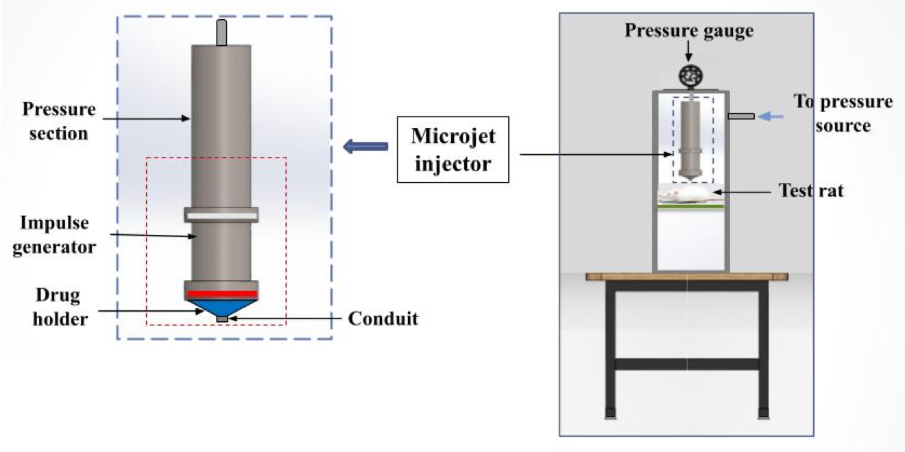 Schematic design of the shock syringe. Photo credit: Hankare et al., 2024