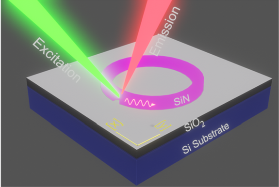 Schematic layout of coupled excitation and detection of cavity mode.  Image credit: Authors of the study