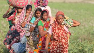 Too heavy a burden? Onus of farm labour on women may be contributing to malnourishment in India, says study