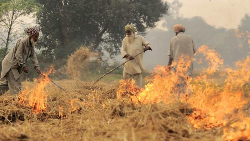 Researchers from The Nature Conservancy (TNC), USA, and collaborators from different institutes in India, discuss the agricultural practice of burning crop residues and find alternative solutions.