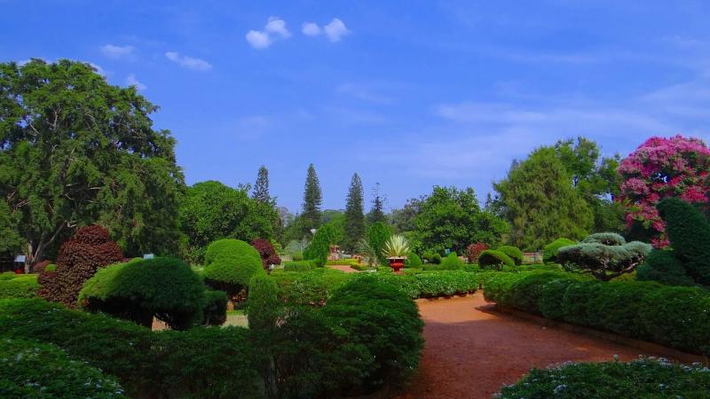 Bengaluru’s parks brim with birds and butterflies, finds study