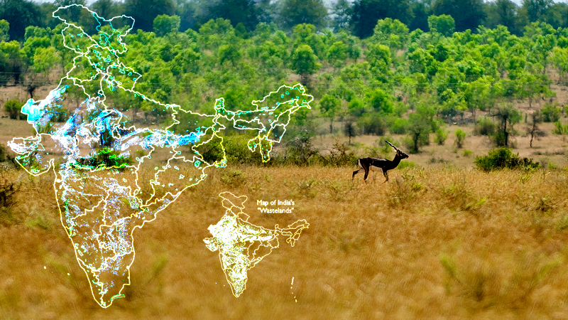 Comparative maps showing the extent of ONEs and wasteland categories in India;  Blackbuck - an endemic species of ONEs Original pictures of Map and Blackbuck - Authors of the paper