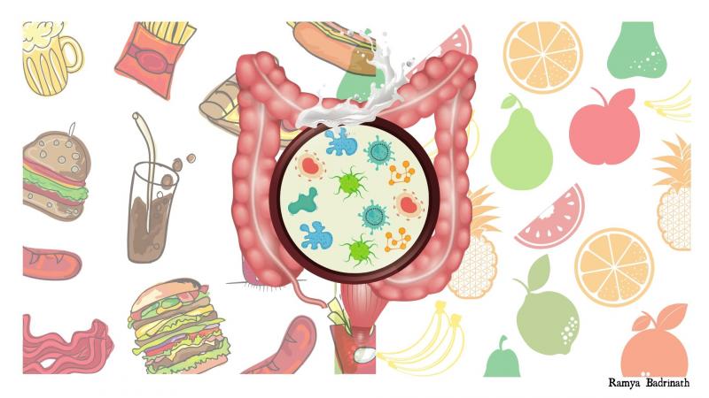 Study shows how nurturing gut microbes can address malnutrition