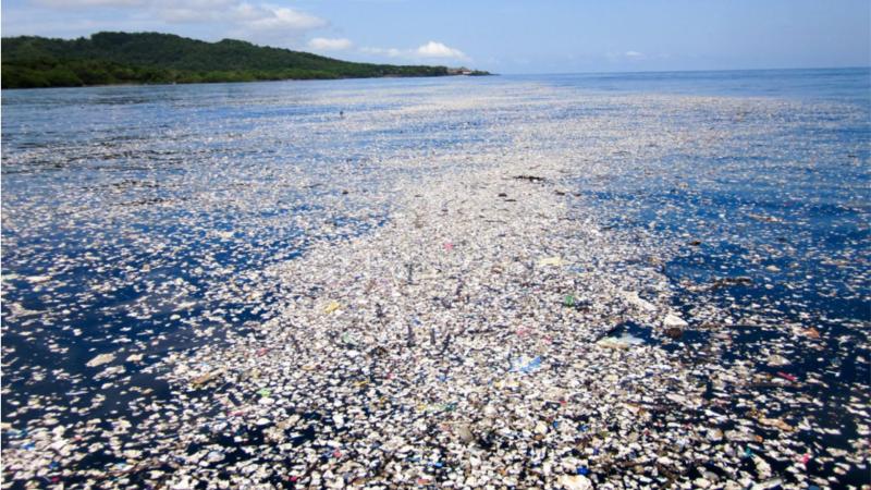 तैरते हुए प्लास्टिक के टुकड़े : ख़तरे की घंटी 