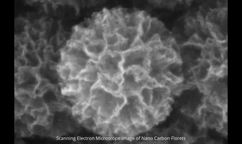 Scanning electron microscope image of Nano Carbon Florets. Image credit: IIT Bombay.