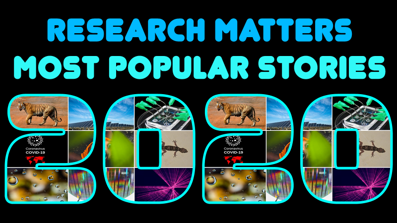 Popular Stories on Research Matters during 2020