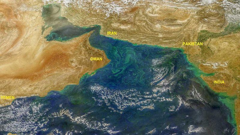 Snow meltdown in the Himalayas is causing sparkling algal blooms in the Arabian Sea