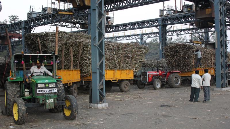 Opportunity for sugar mills to increase profitability