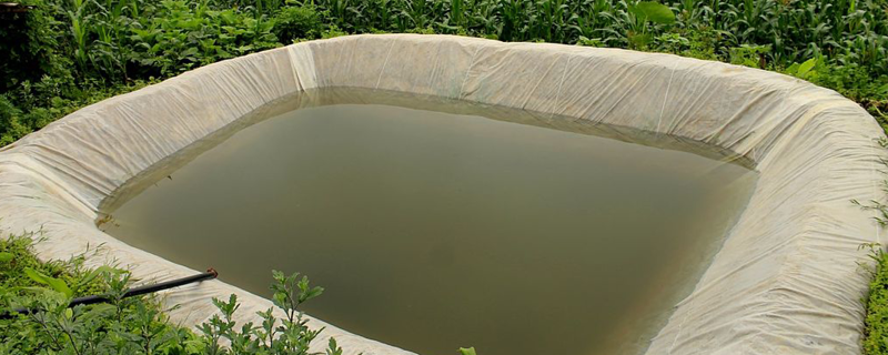Rainwater harvesting ensures sustainable groundwater availability