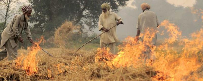 Researchers from The Nature Conservancy (TNC), USA, and collaborators from different institutes in India, discuss the agricultural practice of burning crop residues and find alternative solutions.