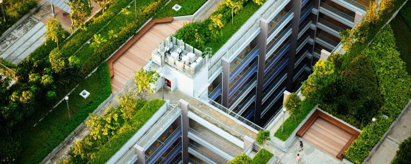 Representative image of Green roofs.