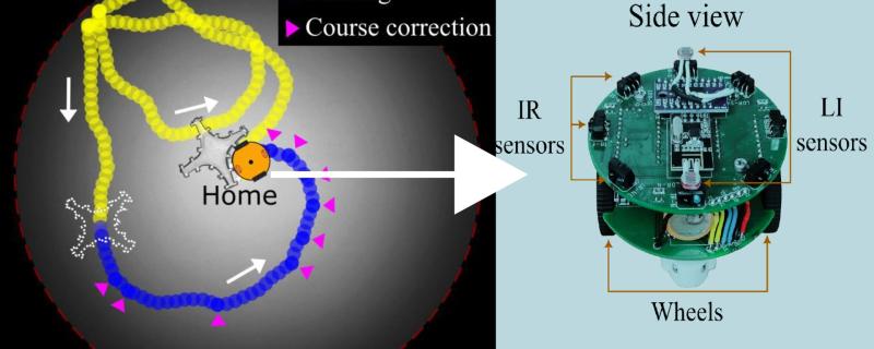 Path taken by the homing robot and a magnified view of the robot.  Credit: Dr. Nitin Kumar