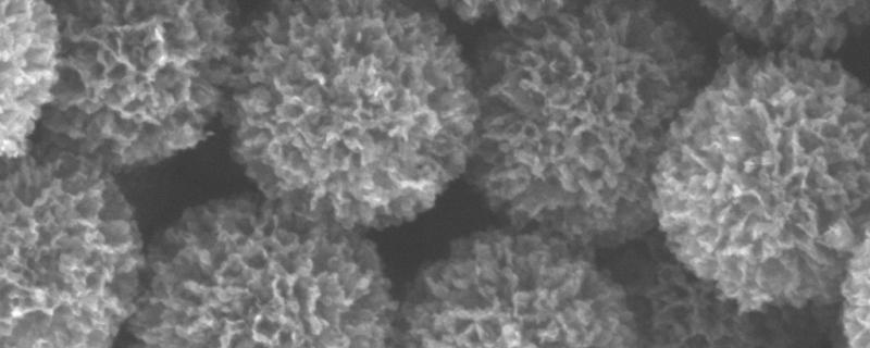 Nano Hard-carbon Florets