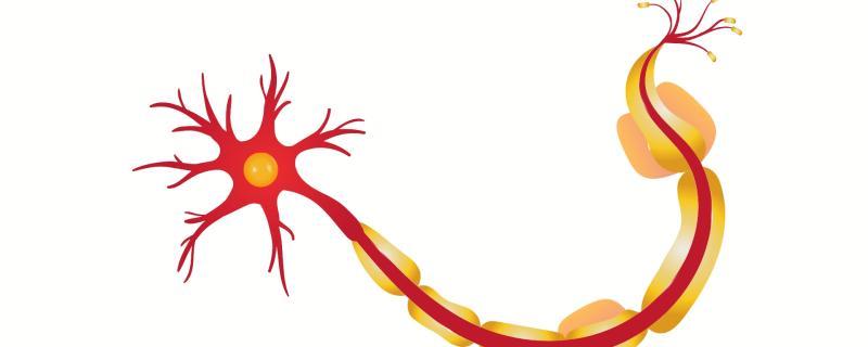 New insights into the biomechanics of axonal atrophy can aid in finding a cure to neurodegenerative conditions