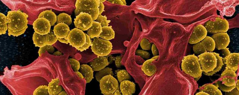 Harnessing the ‘power of two’ to kill drug-resistant bacteria