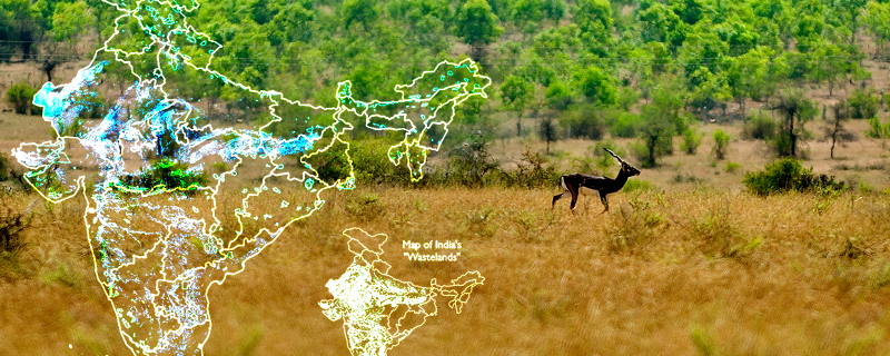 Comparative maps showing the extent of ONEs and wasteland categories in India;  Blackbuck - an endemic species of ONEs Original pictures of Map and Blackbuck - Authors of the paper