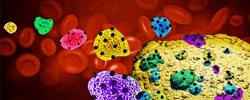 कर्क रोग आक्रमण: मिश्रित कोशिकाएं अधिक प्रगति करती हैं