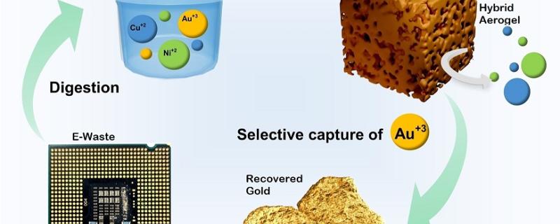 Schematic of gold extraction with MOP/COF aerogel. Credit: Majumder, Dipanjan, et al. "Nano-Springe Enriched Hierarchical Porous MOP/COF Hybrid Aerogel: Efficient Recovery of Gold from Electronic Waste." Angewandte Chemie International Edition