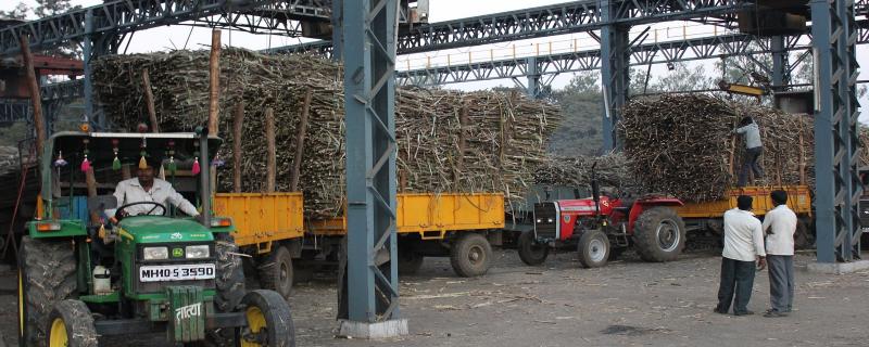 Opportunity for sugar mills to increase profitability