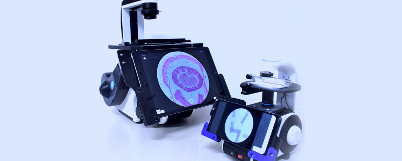 Cilika–Portable digital inverted microscope