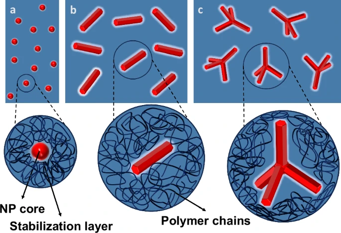 A visualisation of how polymer molecules behave differently around different nanoparticle shapes. 
