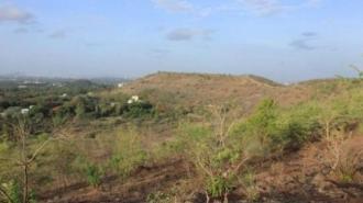 पुण्याची वेताळ टेकडी आणि पर्वती टेकडी. छायाचित्र सौजन्य: आशिष नेर्लेकर