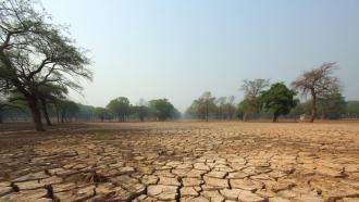 Drought land