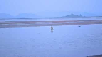 Deltaic region flooding