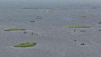 Phumdis at Loktak Lake, Manipur, India