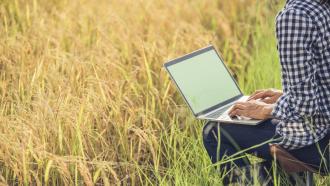 Working on Laptop next to a farm