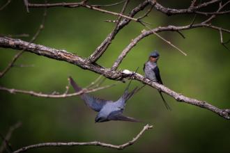 ಮಕ್ಕಳ ಆರೈಕೆ ಯಾರು ಮಾಡುತ್ತಾರೆ? ತಂದೆಯೋ ಅಥವಾ ತಾಯಿಯೋ? 