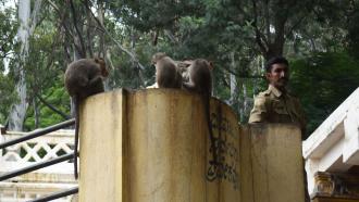 Photo : Purabi Deshpande / Research Matters