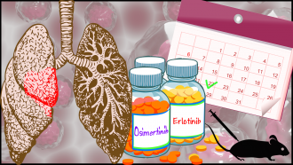 క్యాన్సర్ కణితి తిరిగి పెరగడాన్ని నిరోధించడానికి రోజూ కాకుండా వారానికోసారి క్యాన్సర్ మాత్రలు వేసుకుంటే చాలు, అని ఒక అధ్యయనం కనుగొంది