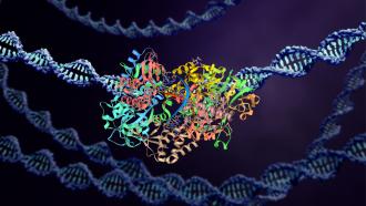 Proteins and DNA