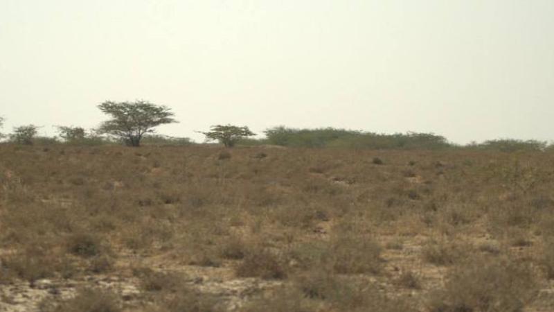 Photo : Purabi Deshpande / Research Matters