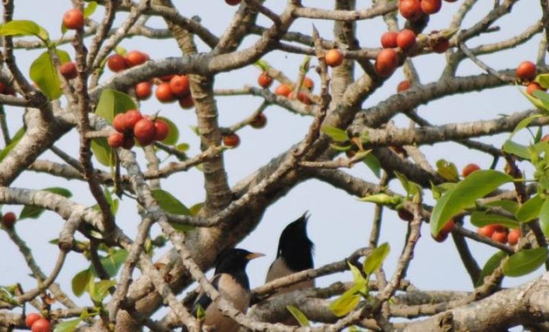 Photo : Purabi Deshpande / Research Matters