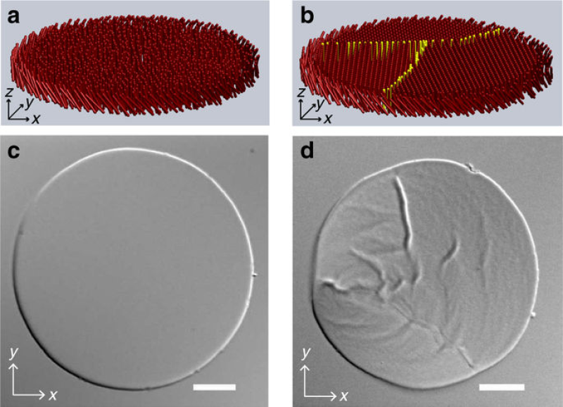 Fluid and crystalline phases of colloidal membranes from Nature Communications
