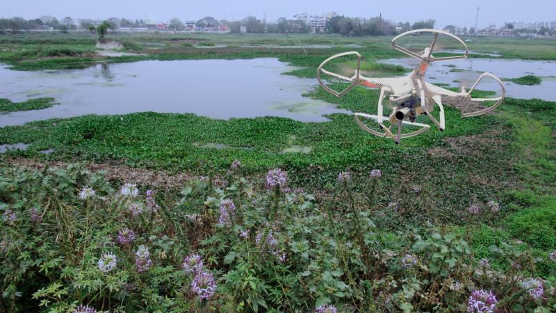 Drone over a swampy lake