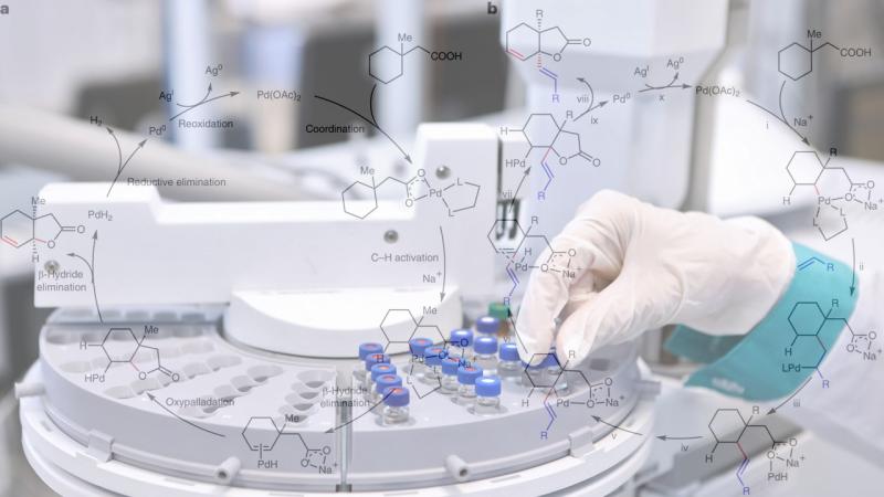 A counterintuitive chemical reaction to simplify the production of biologically important compounds