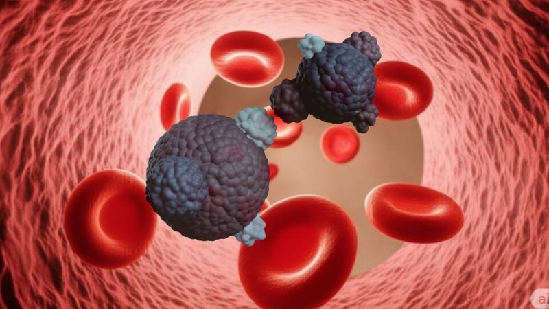 Graphical representation of cancer and blood cells