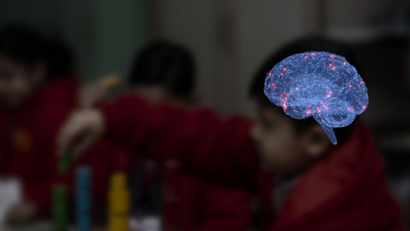 Brain activity during focus and attention 