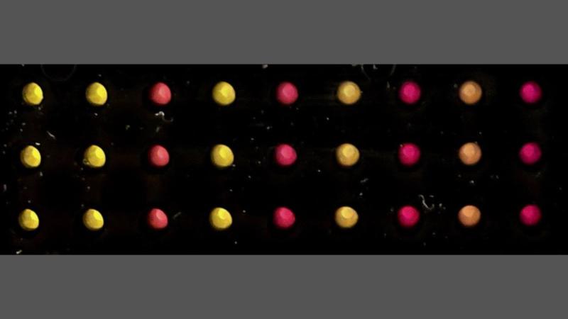 A representation of the paper-discs with the substrate and cell free extracts together with (left to right) increasing concentrations of the sensor without trigger (yellow) compared to with trigger addition (shades of red).