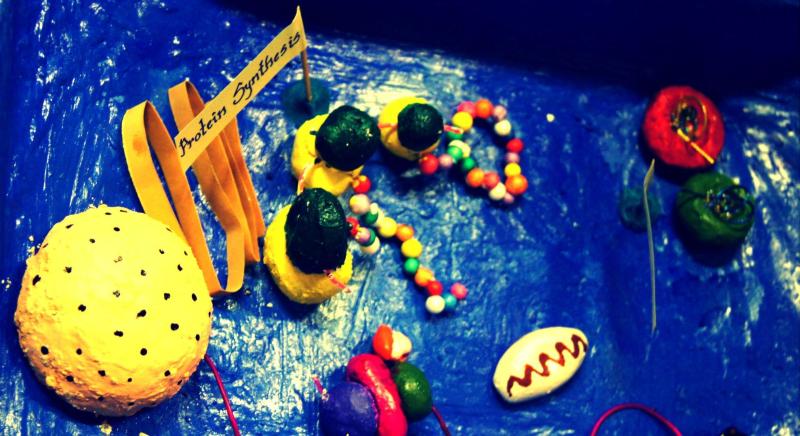 Photo : Siddharth Kankaria / Research Matters