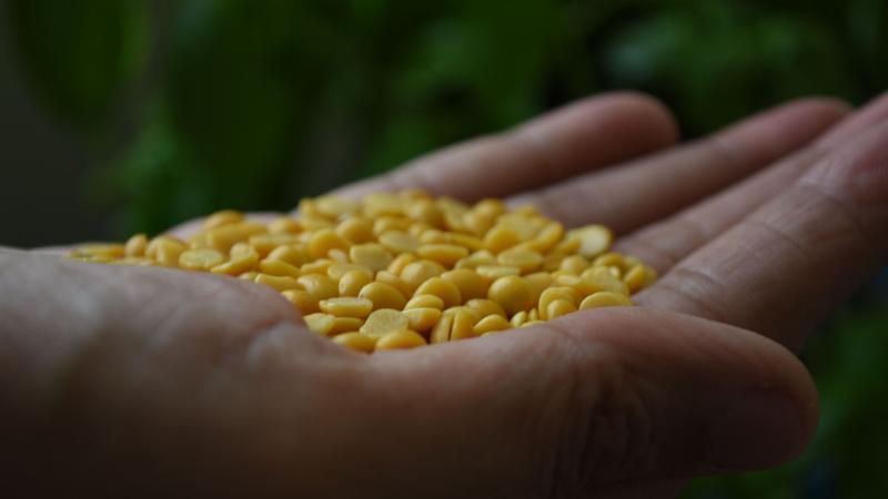 Photo : Purabi Deshpande / Research Matters